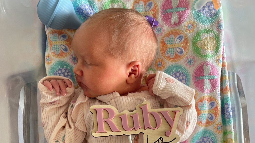 New Addition to the HGIS Family